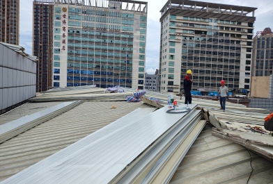 東莞東城屋面瓦更換工程